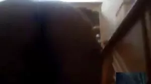 Tartes adolescentes