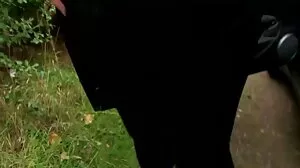 Redhead BBW donne Sloppy Head femme mure tu kif avant de baiser